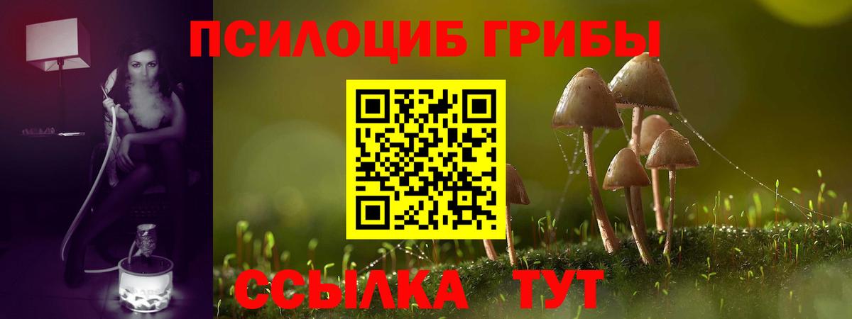 Избербаш  Псилоцибиновые грибы ЛСД  Вход с VPN 